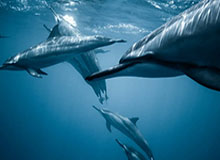 爱游戏娱乐：让热爱蔓延在每一次点击之间